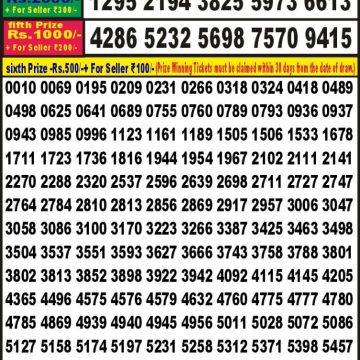 Punjab State Dear 100 monthly lottery result